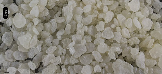 A heap of large white Chios mastic tears from Gum of Gods