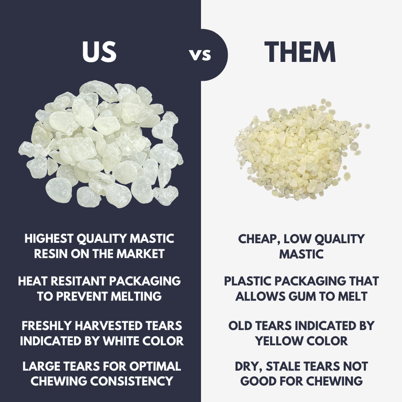 Side by side photo of large white Gum of Gods mastic tears and smaller yellow mastic pieces